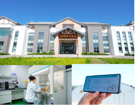 從千年仙草到冬日暖方 現代科技解鎖傳統草本的內在滋養智慧