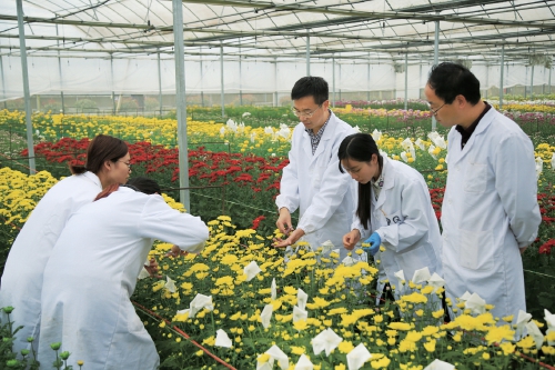 “南農實踐”探索高等農業(yè)教育高質量發(fā)展農業(yè)科學研究和試驗發(fā)展